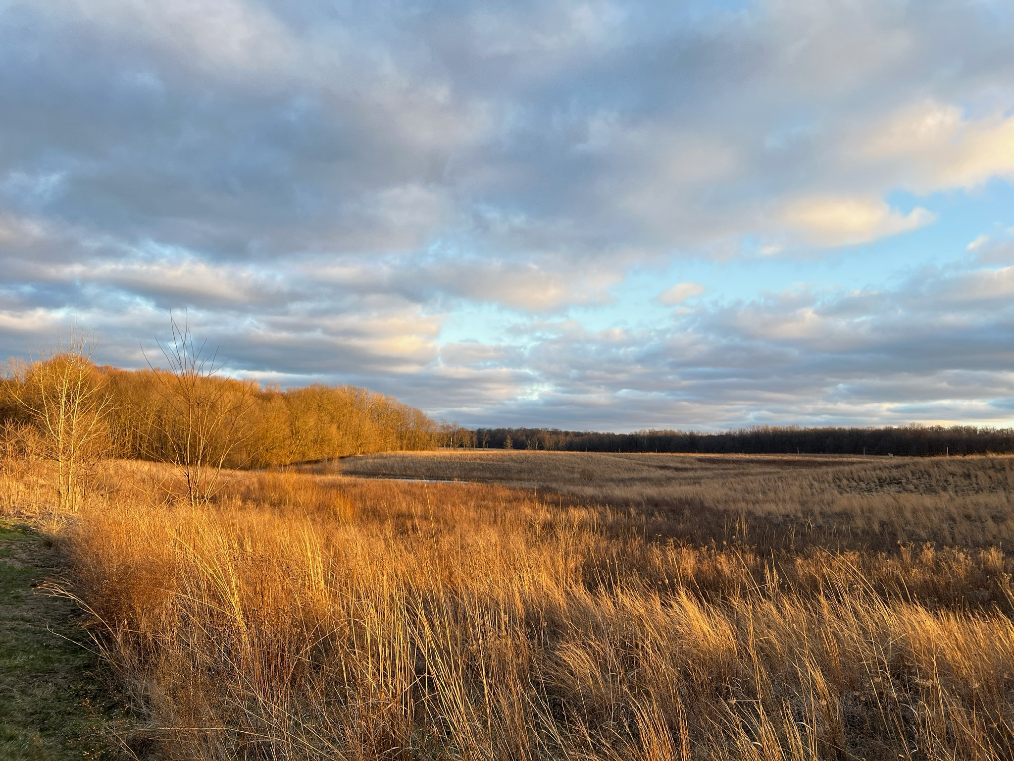 Wildflower Field behind Hilltop Haven in the Fall