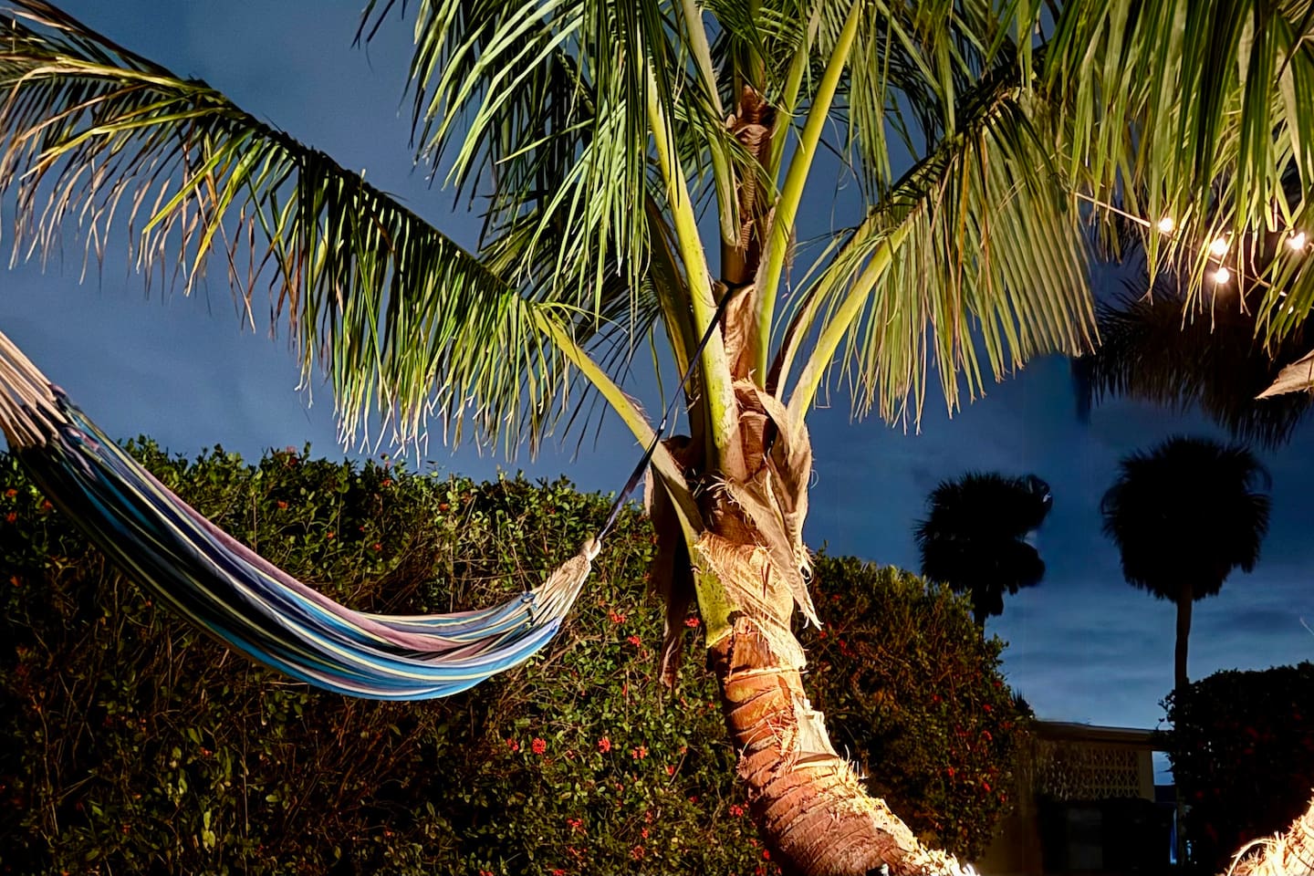 Relax under the palms, or stars  in our Brand New Hammock, hanging directly between 2 giant palms. Perfect for an evening with your favorite loved one 