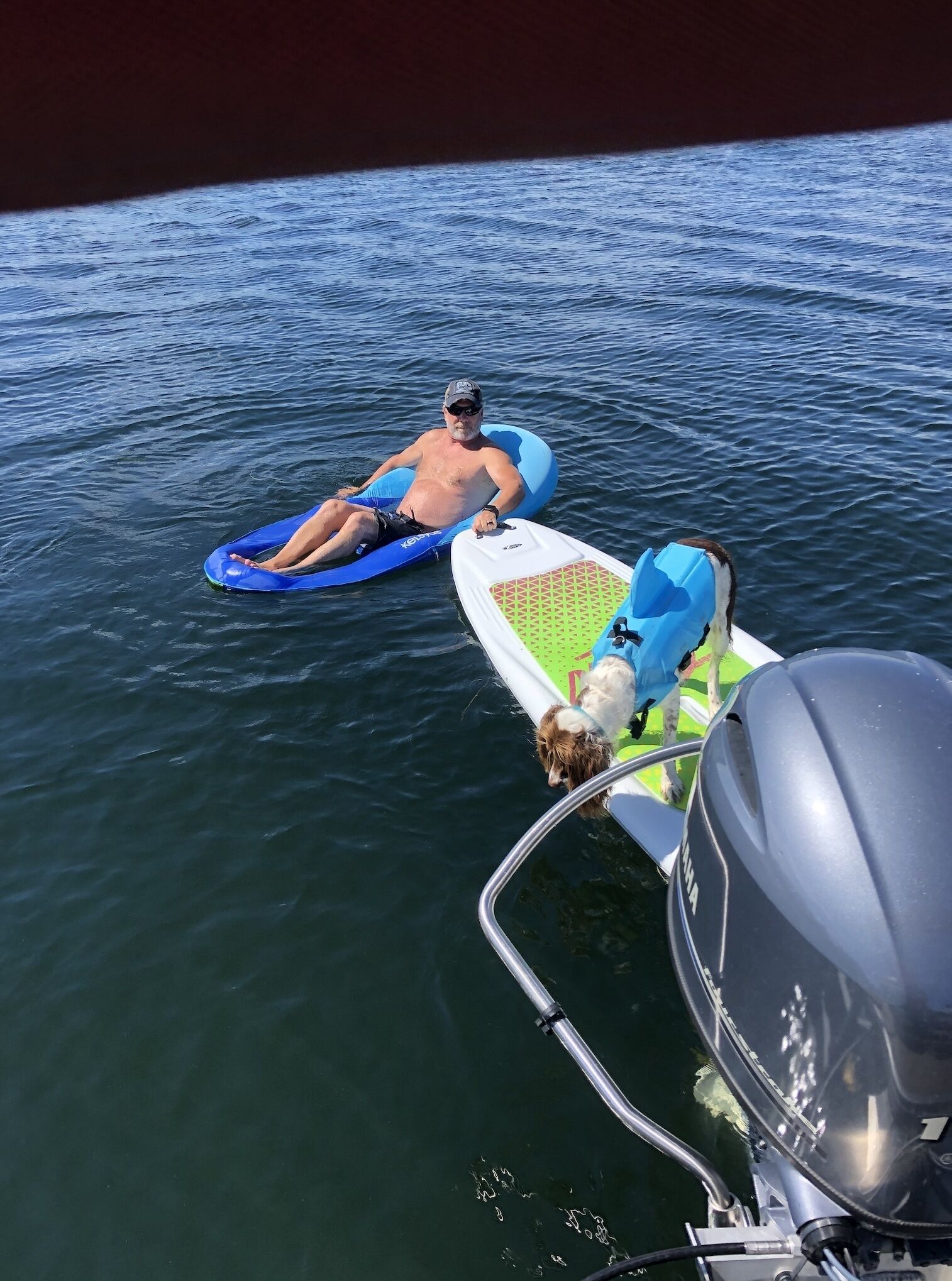 Relaxing in the water