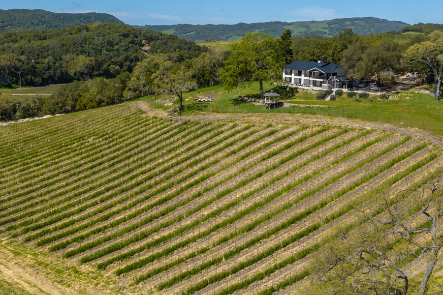 Walk through rows of private vines at this sprawling hilltop retreat.