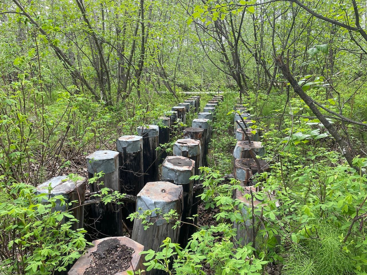 Nearby hiking trail - Palmer Rail Trail