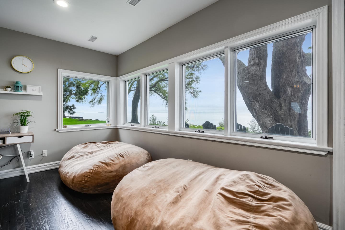 Living Room / Lounge Room