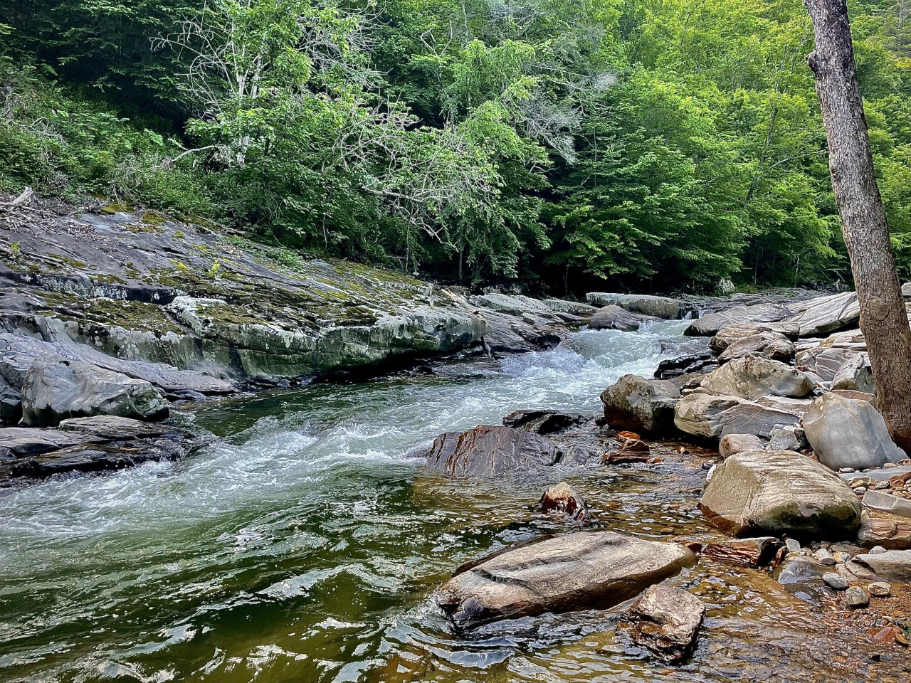 If you are looking for a good walk, we recommend the Laurel River Trail. Also a go-to for swimming and fishing. 