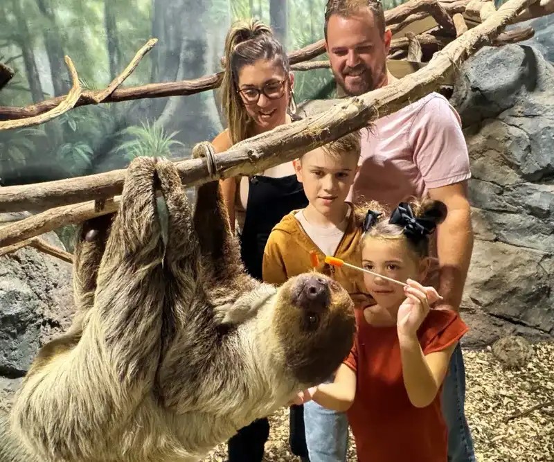 rainforest adventures 