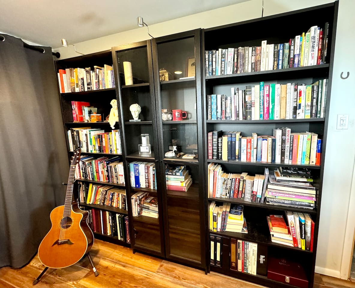 Library with day bed and trundle