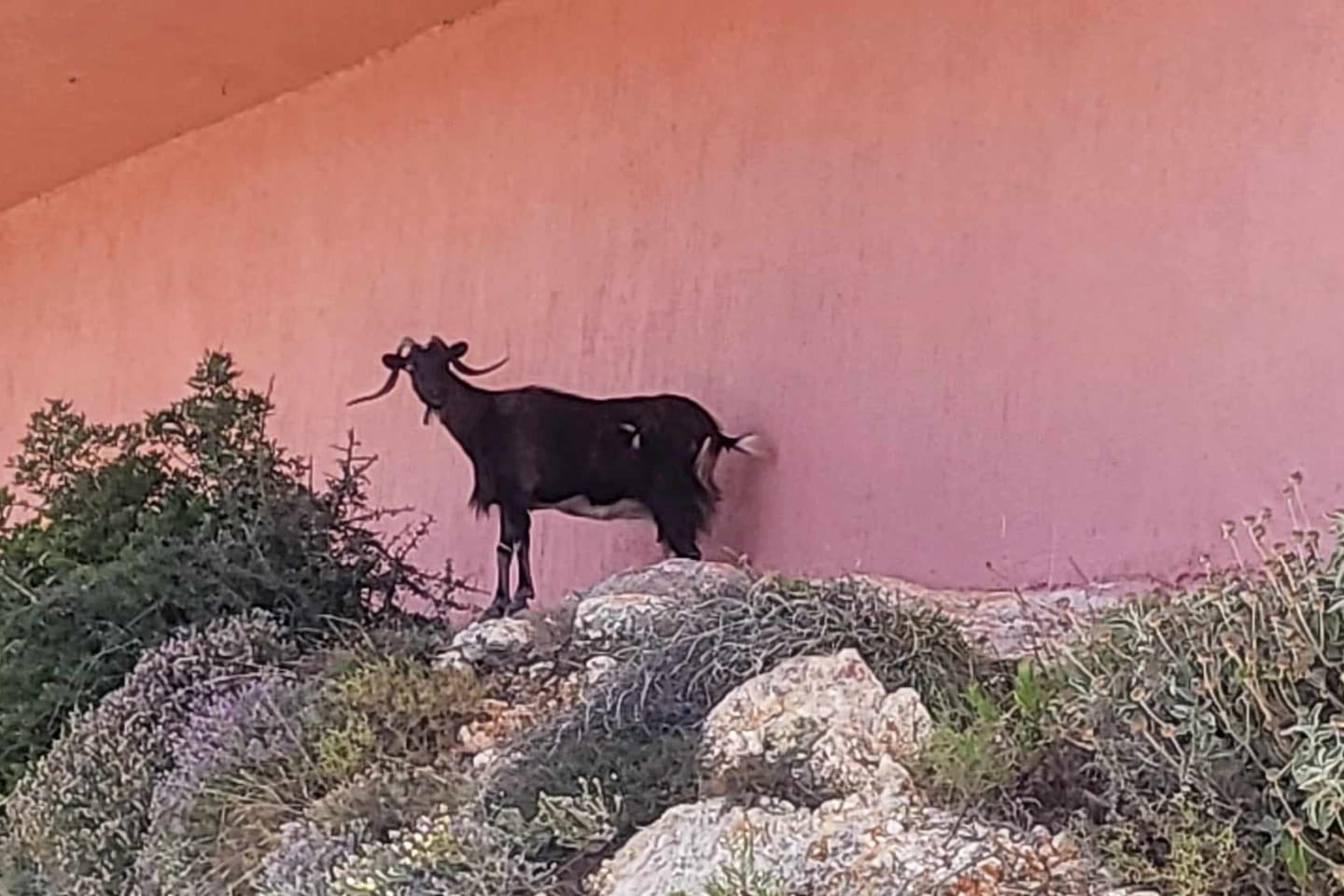 On the way to Petanoi Beach, about 10 drive