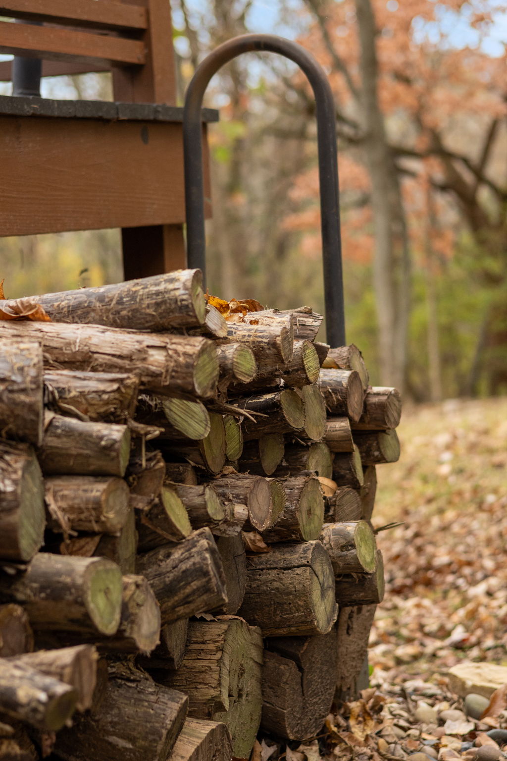 Fire Wood (For Decoration Only)