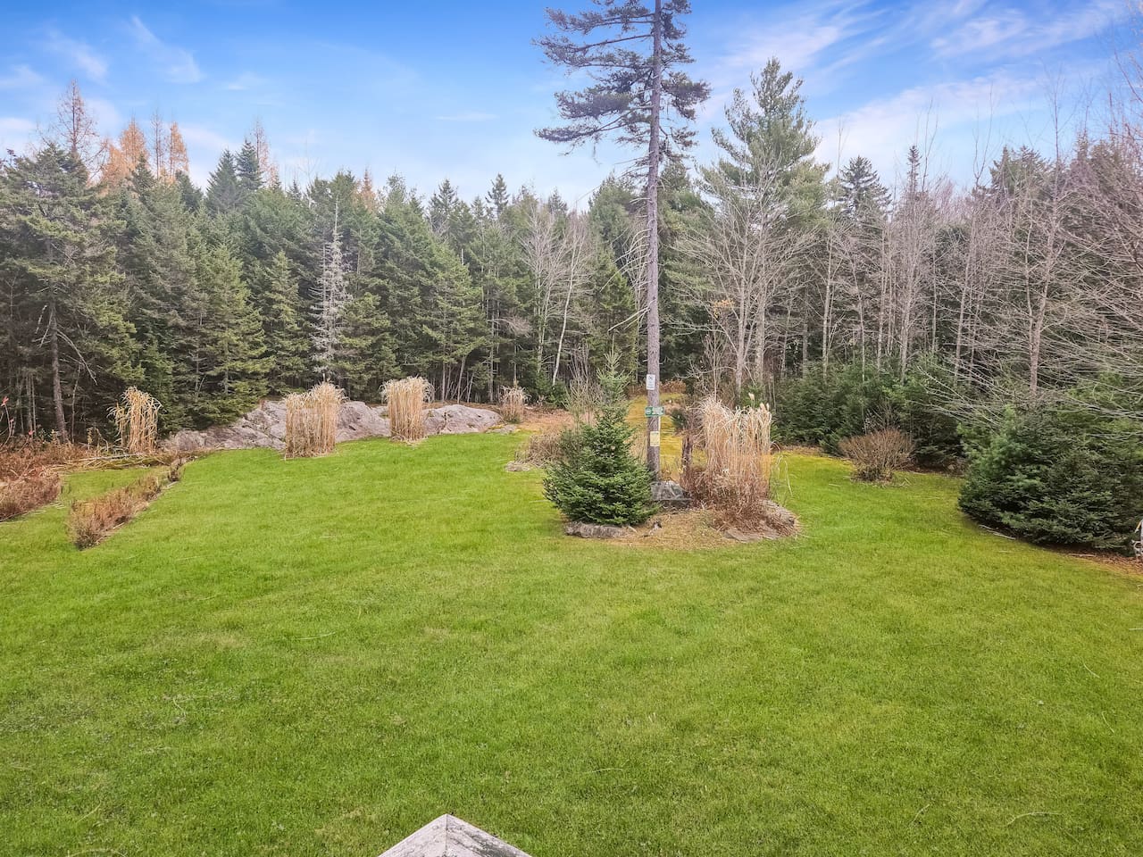 Beautiful backyard