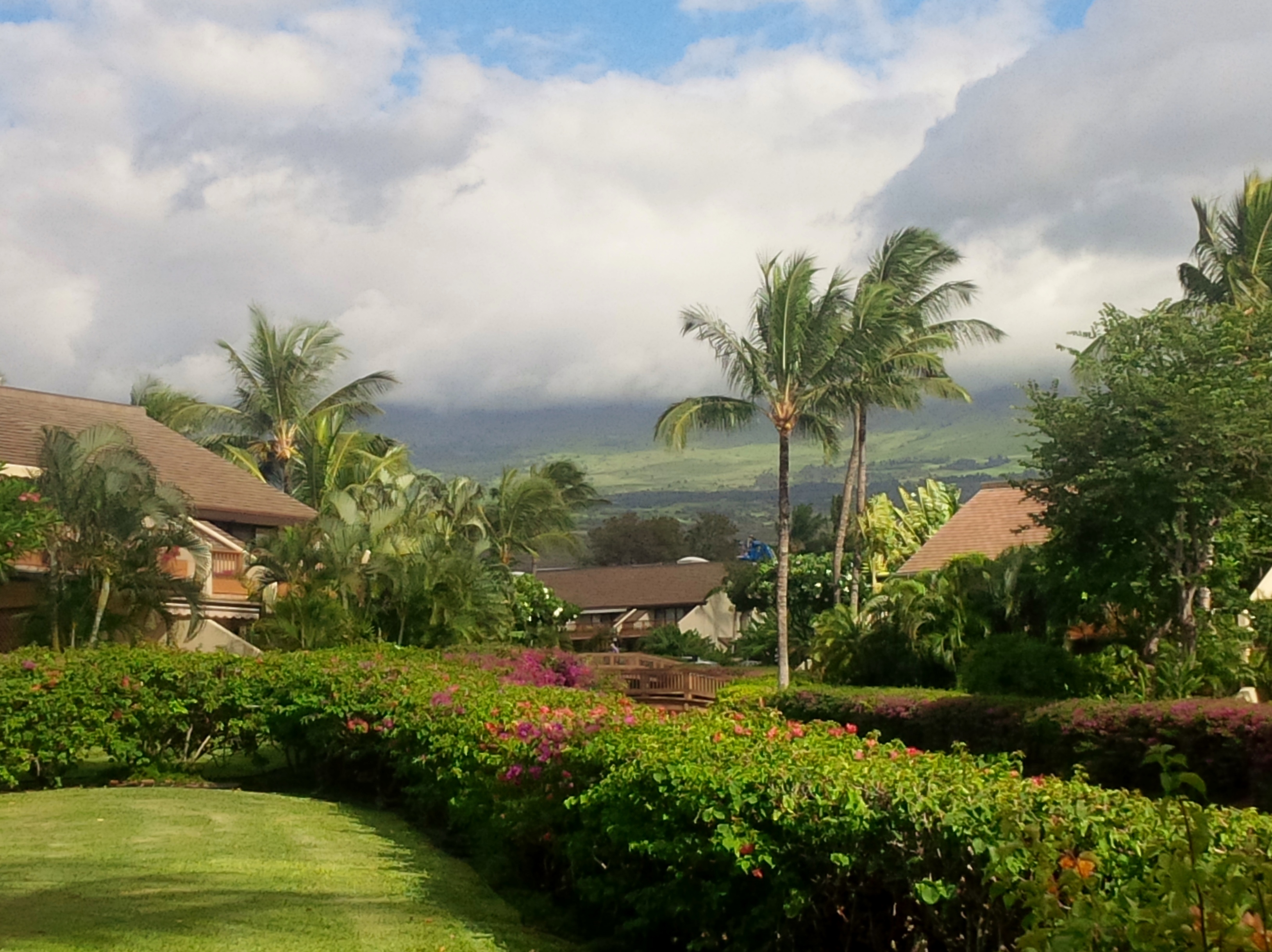 Maui Kamaole is a low-rise community set in a lush park-like 23 acre property