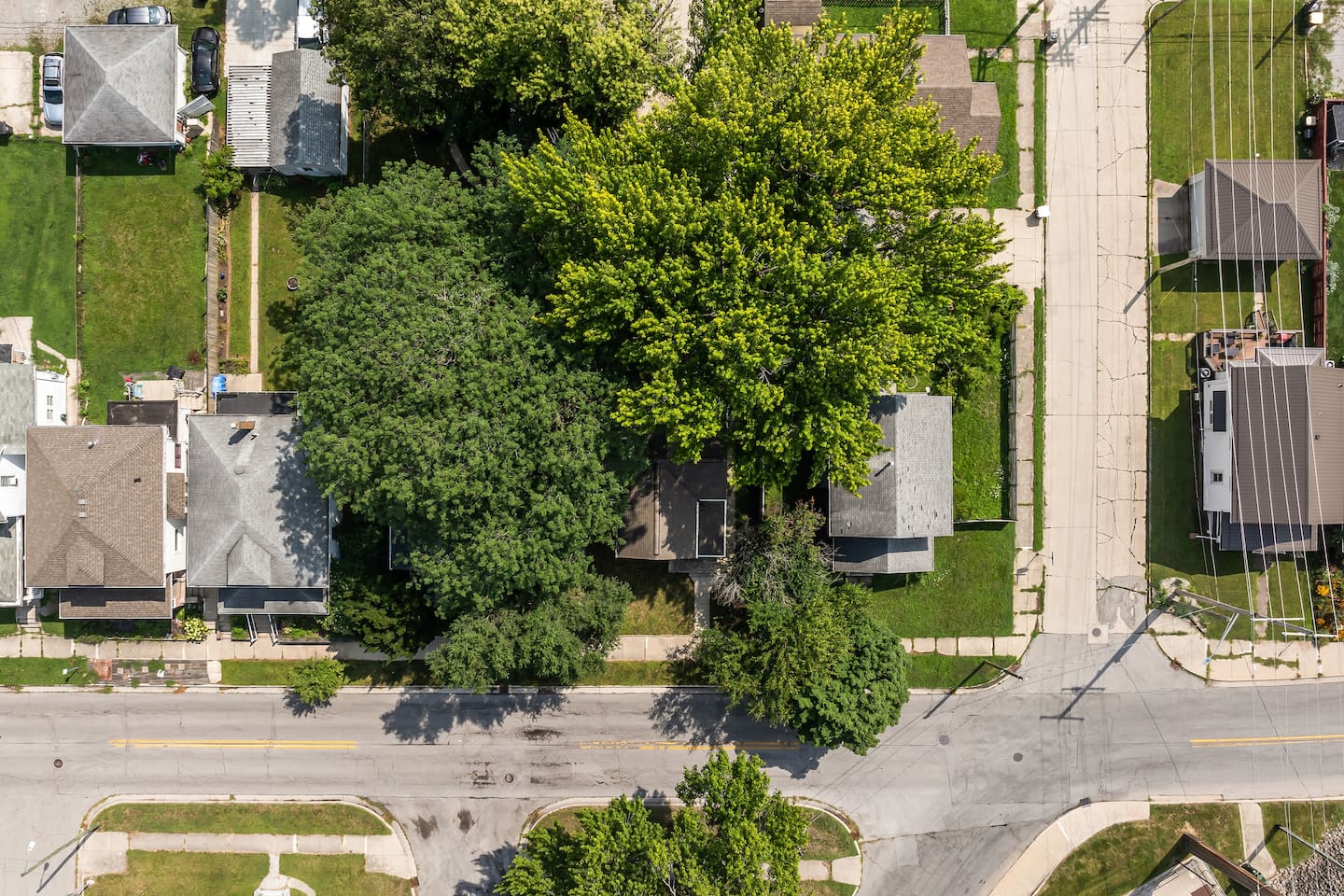 Mature trees canopy the block, giving the neighborhood a settled, established feel.