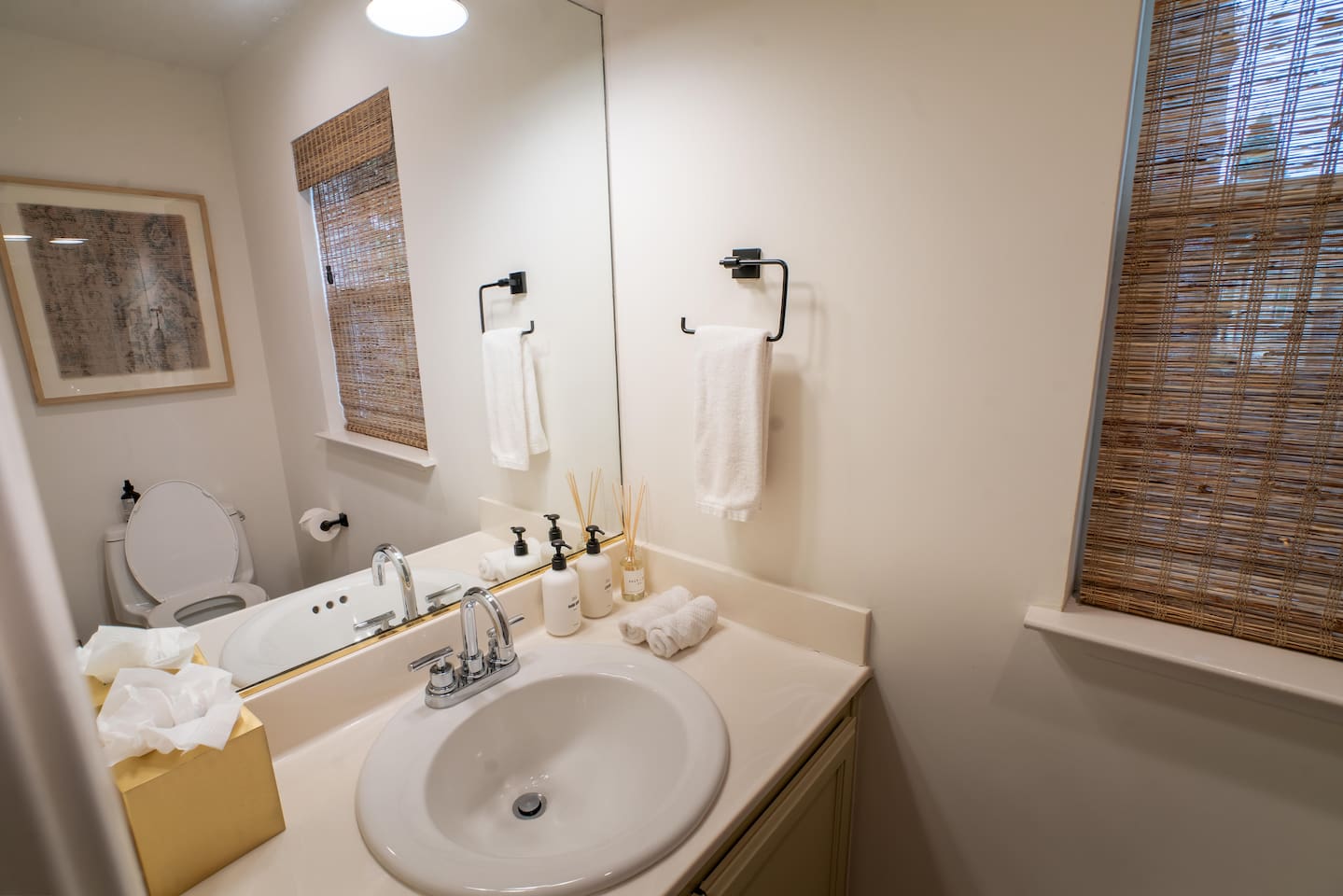 Half-bathroom downstairs