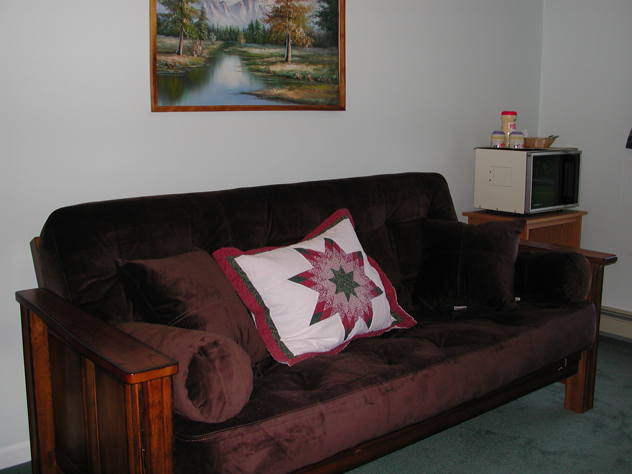 Sleeper futon in living area