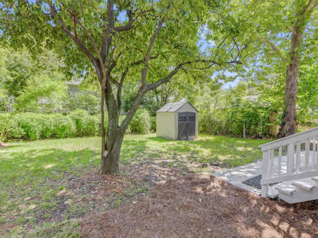 Fully fenced backyard area