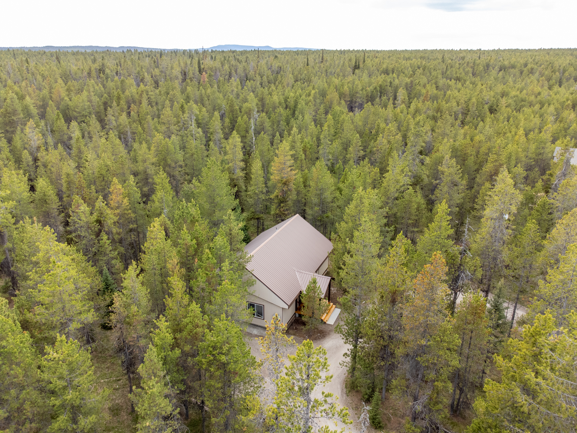 Cabin amongst the forested wilderness