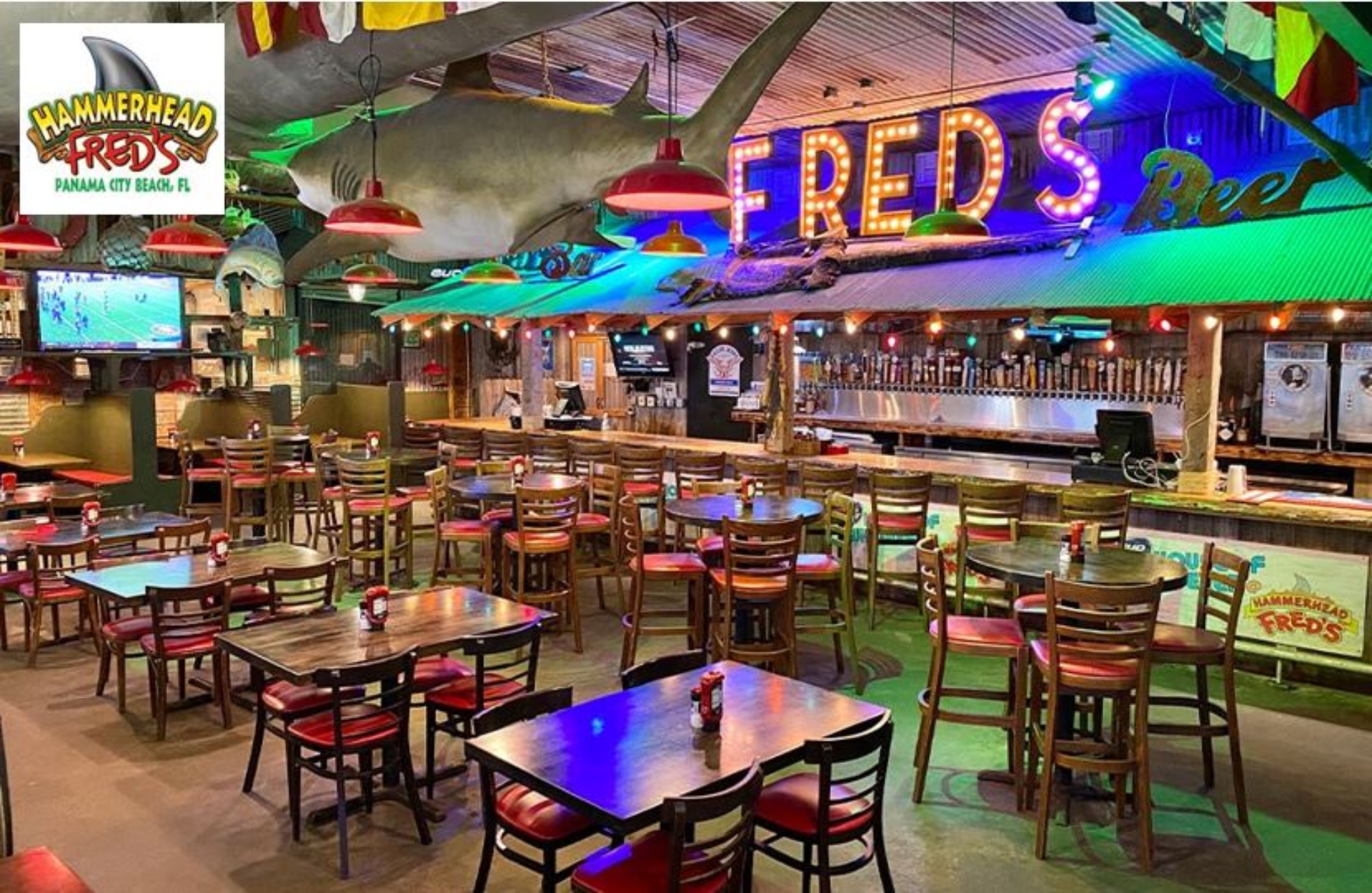Hammerhead Freds - walking distance