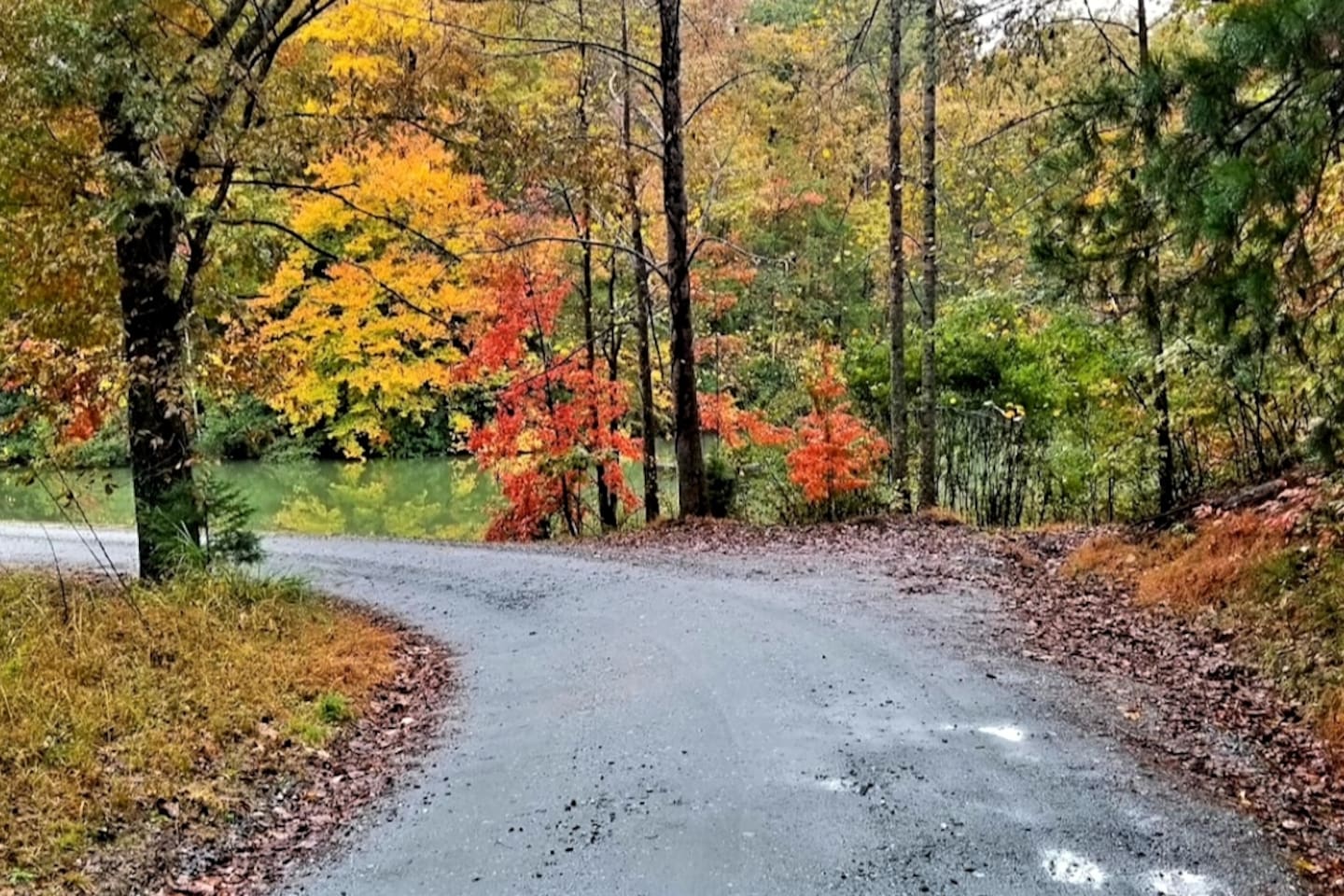 Fall is spectacular in Riverbend and all of Lake Lure! Don't miss our fall color show.