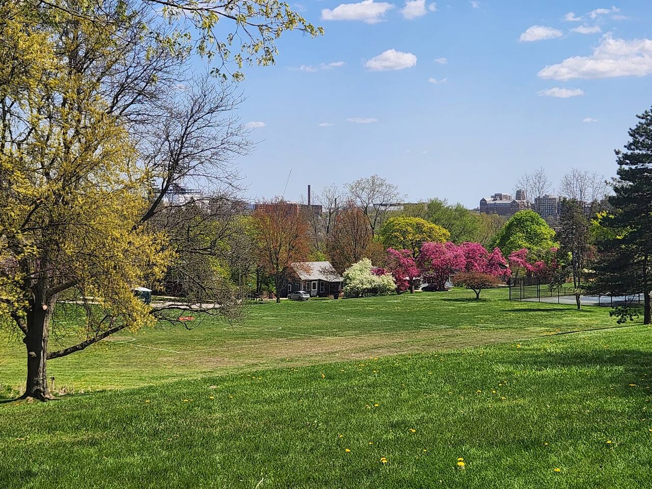 Hunt Park (2 blocks away)