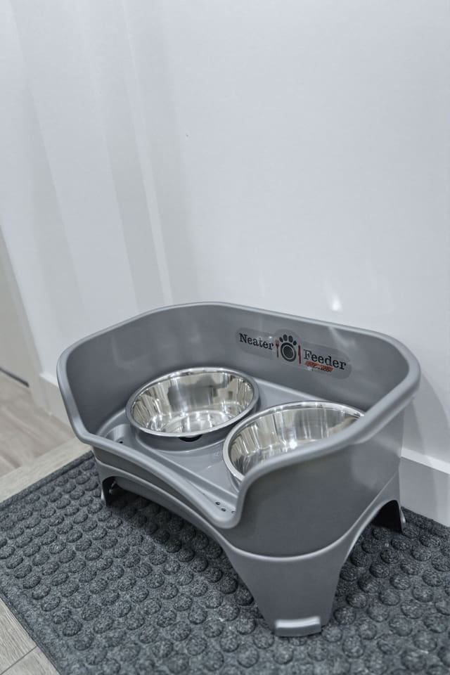 Elevated pet dining area with dual bowls for added comfort and cleanliness