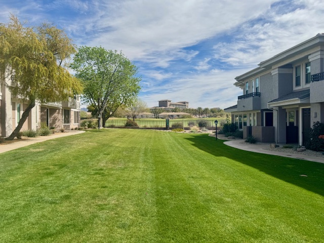 Greenbelt View from Pool to Westin Kierland Resort