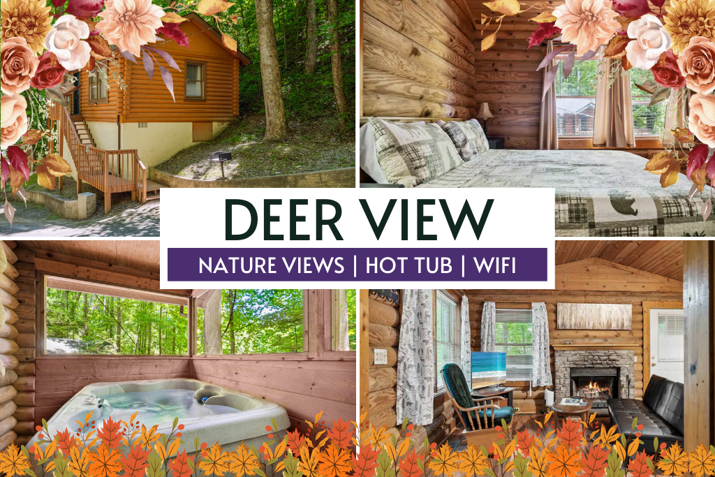 Nature views + cozy cabin vibes = your Smoky Mountain escape.