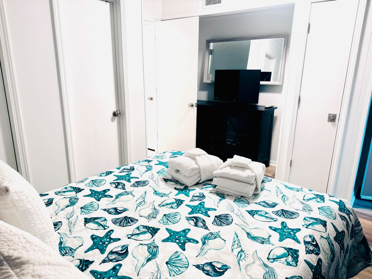 Bedroom with TV and closet