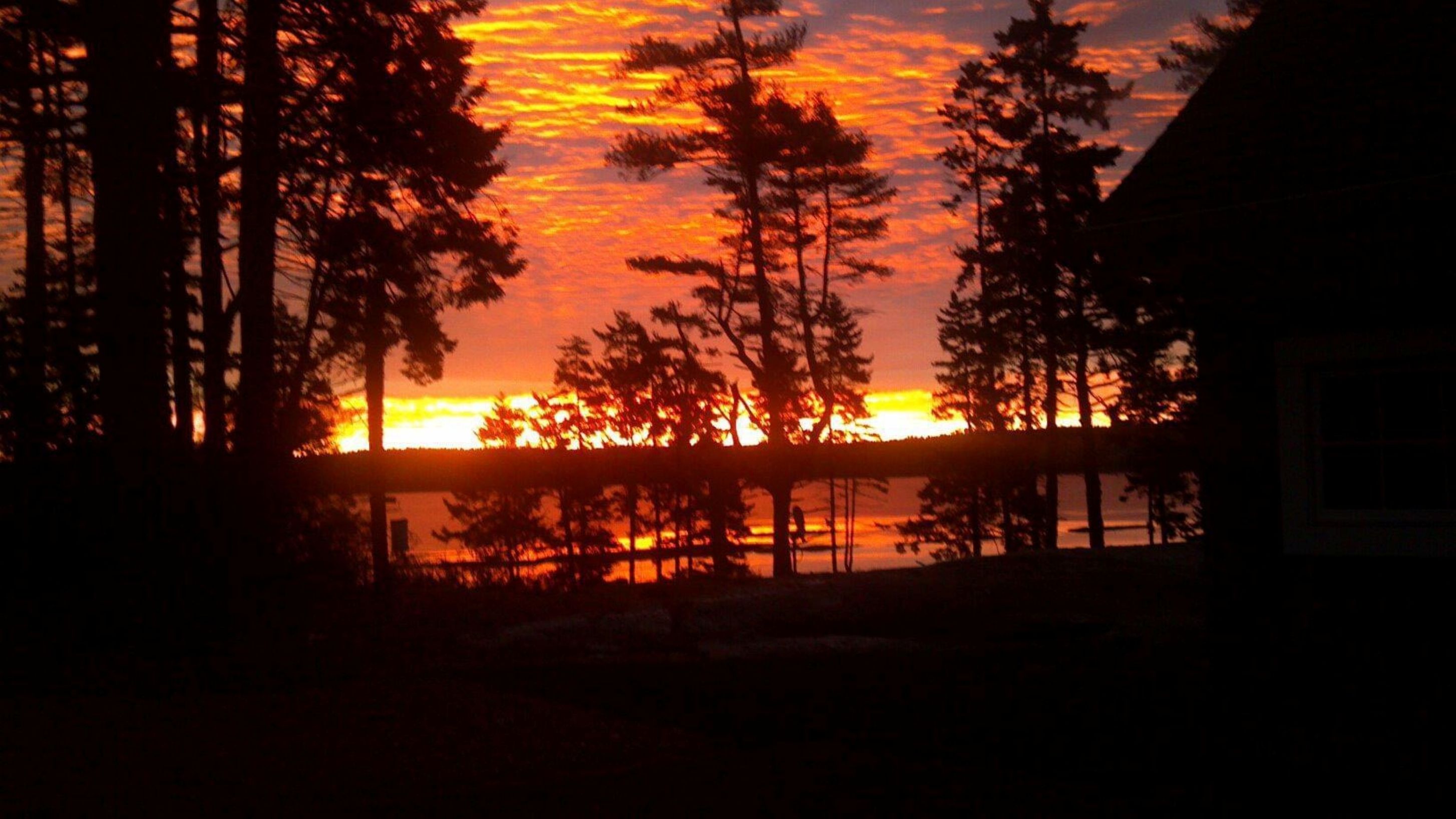 Sunrise From The Firepit 