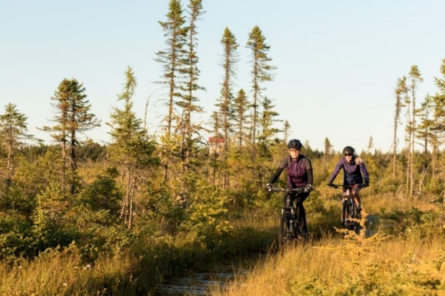 Balade en vélo dans les tourbières! Un circuit de 14,5 km situé à Saint-Just-de-Bretenières.