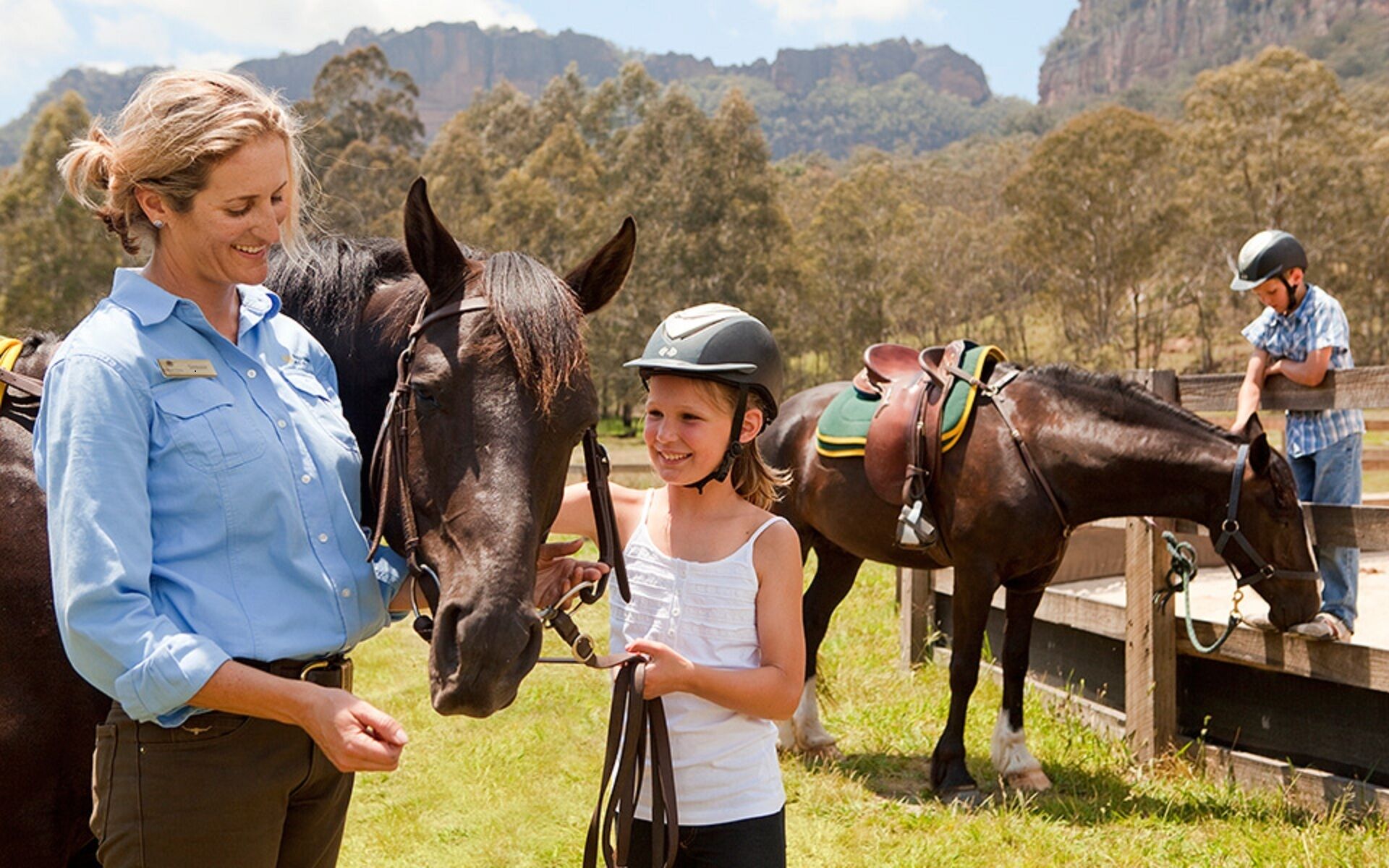 We are in Wine and Equine Country