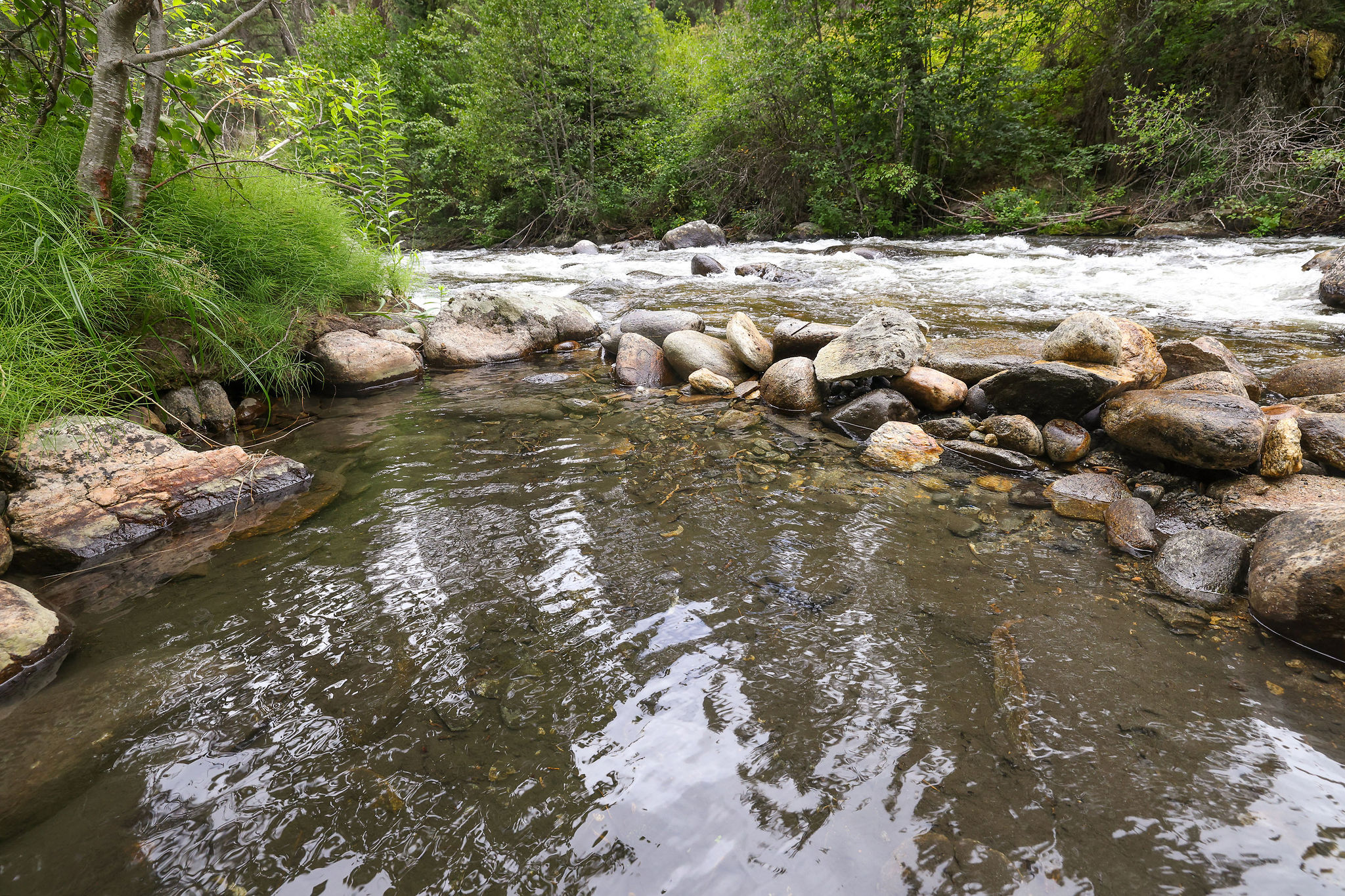 Peace and quiet to heal the soul