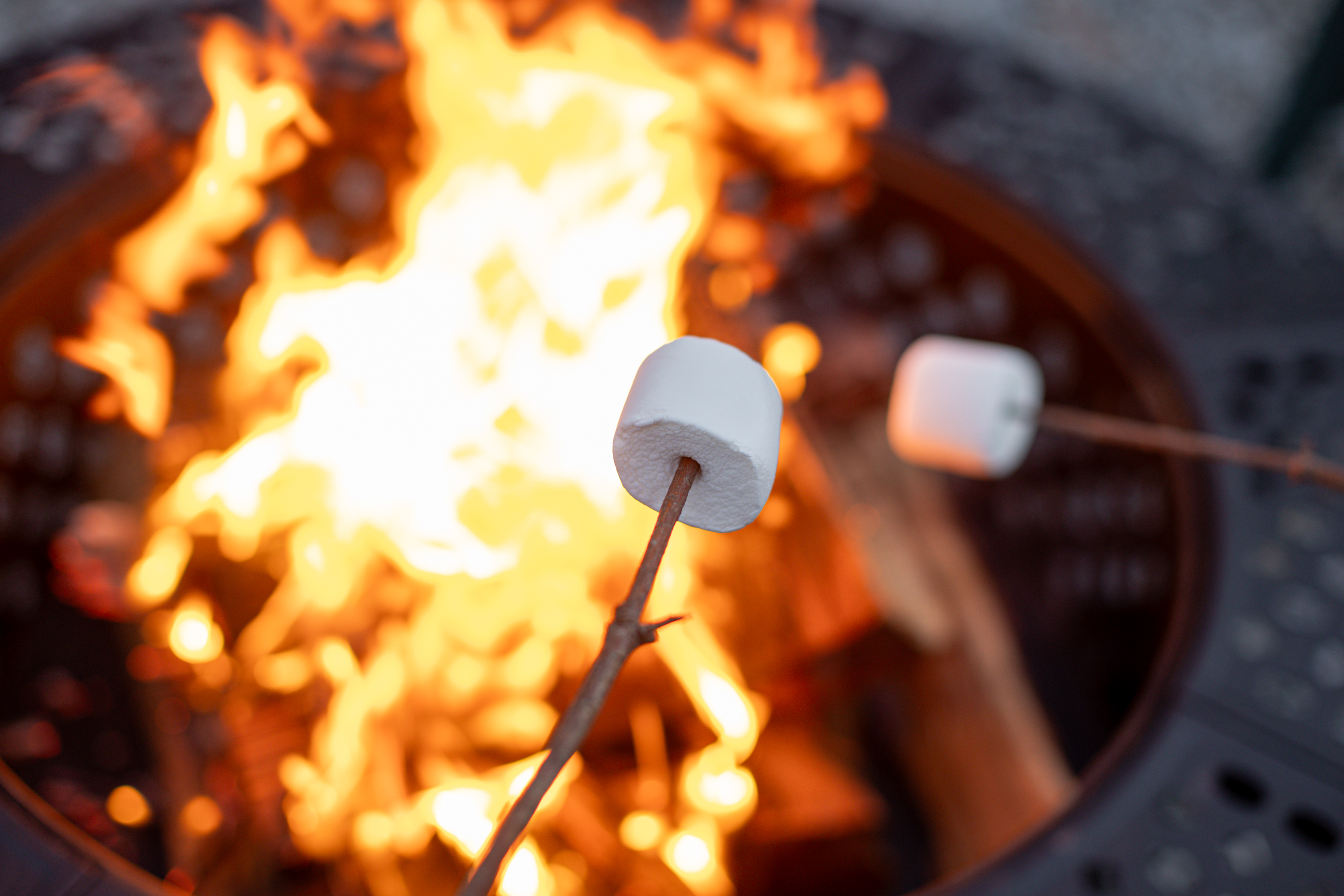 Fire Pit Experience: Toast marshmallows under the stars by the inviting warmth of the fire!