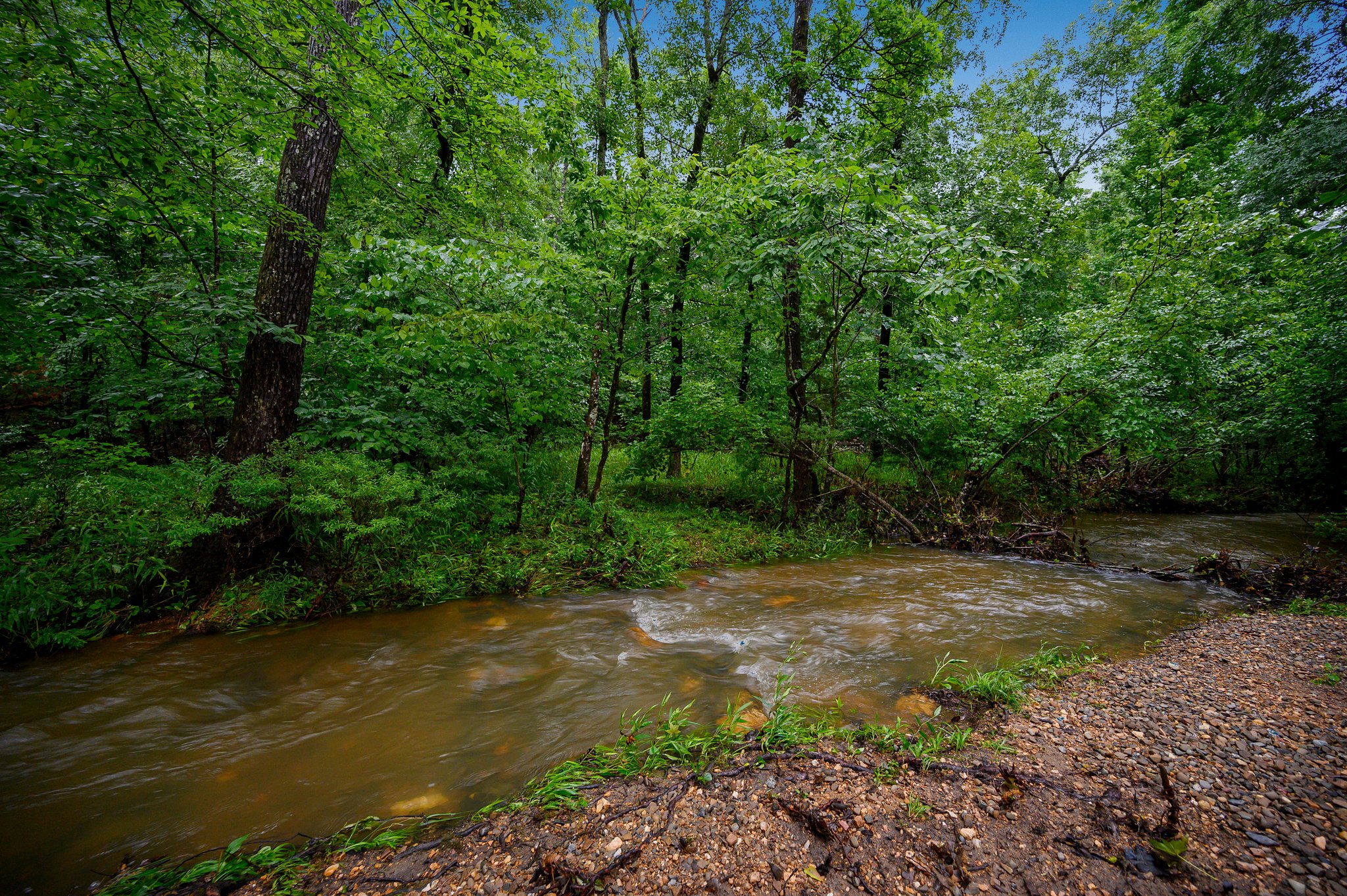 Seasonal creek running behind the cabin