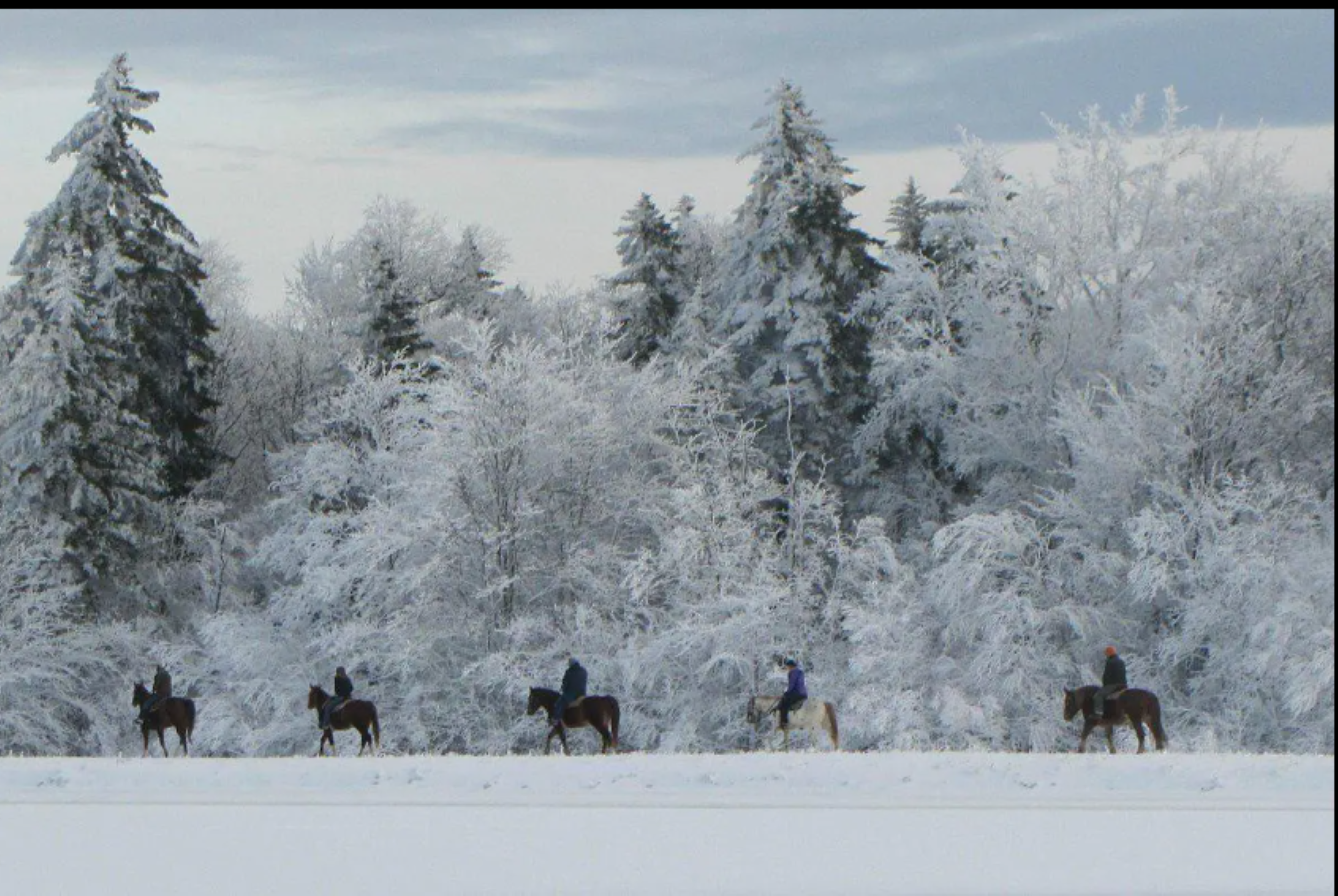 Highland House · Unit 207 — Snowy Slope
