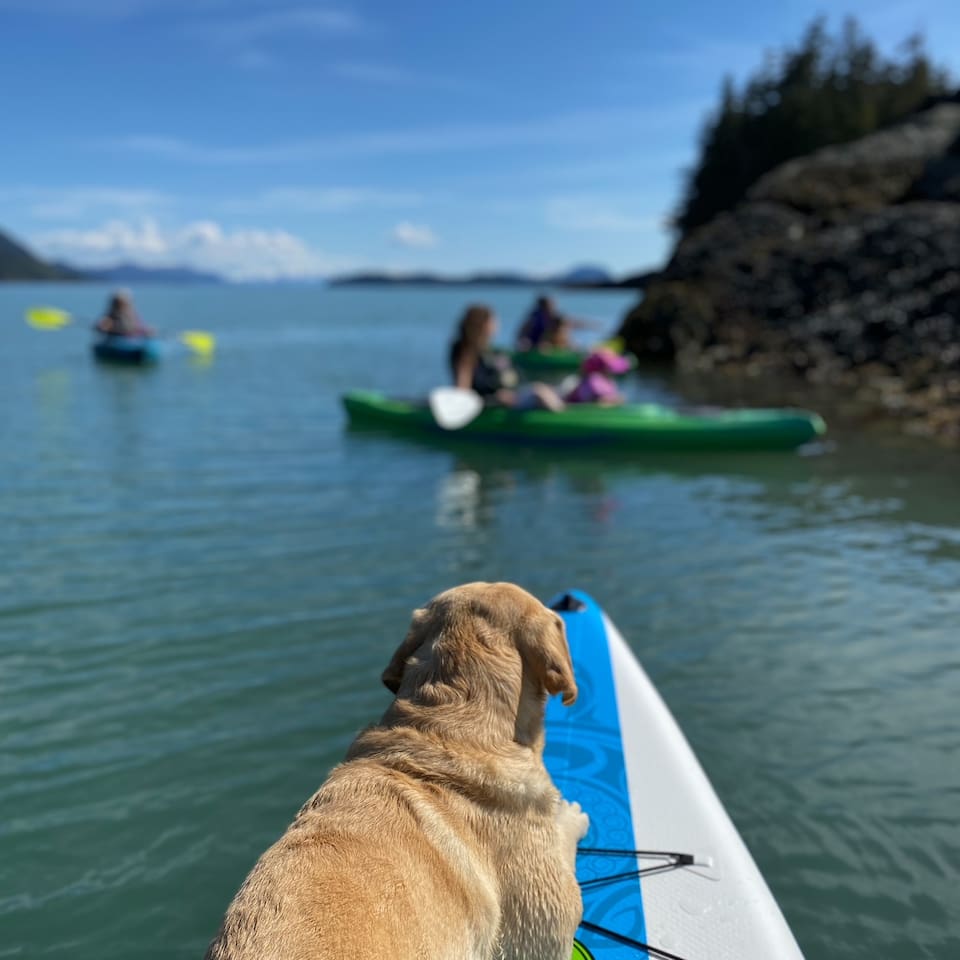 Kayak and paddleboard rentals are available in Juneau.  