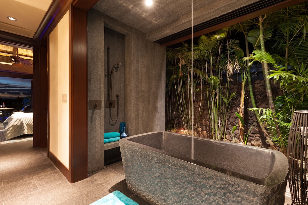 Master Bath & Shower leading to outdoor shower