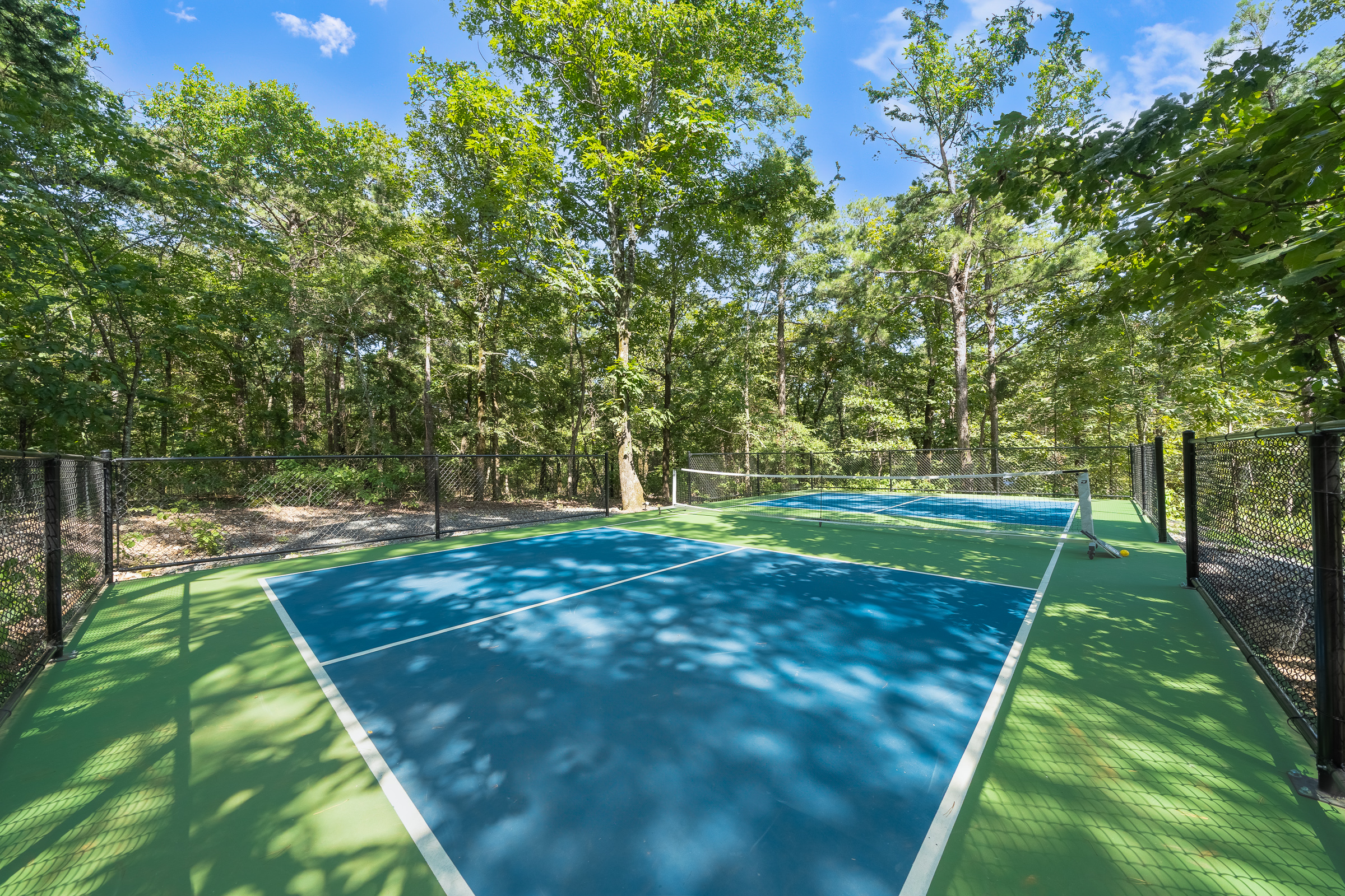 Championship Pickleball Court - surrounded by towering pines