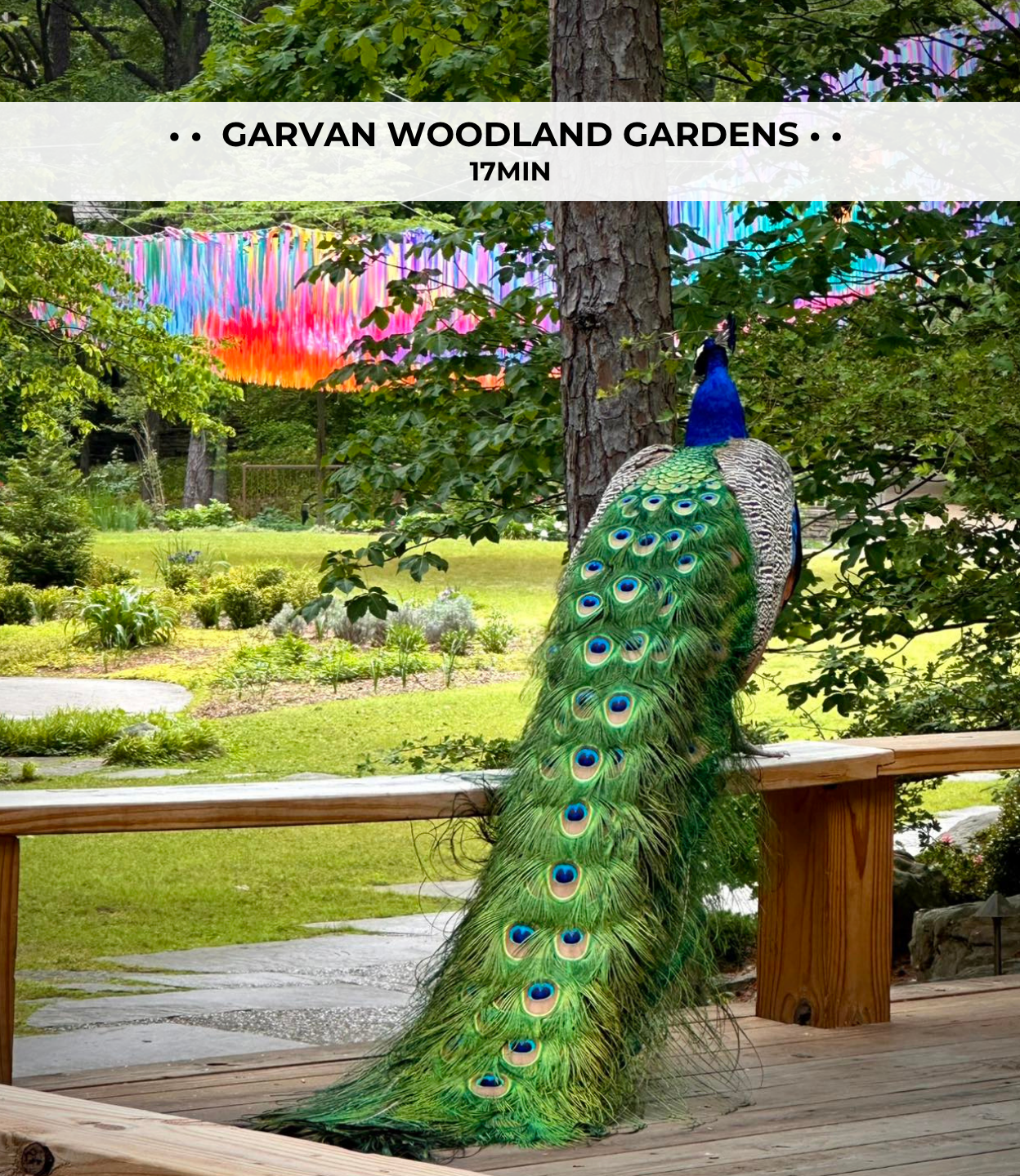 Garvan Gardens is a must-visit while in town.
