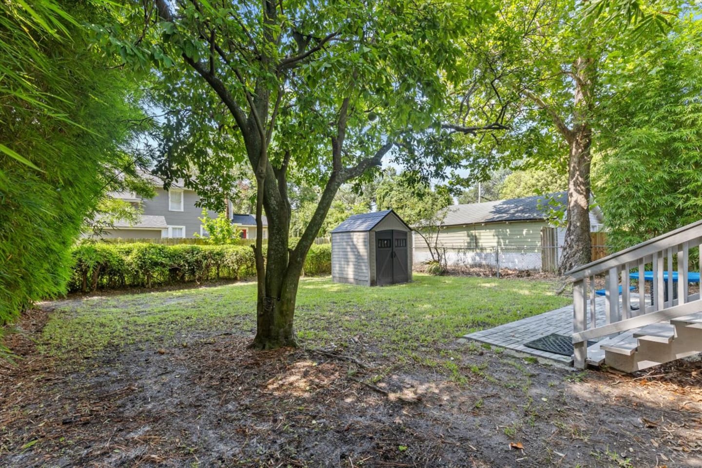 Backyard