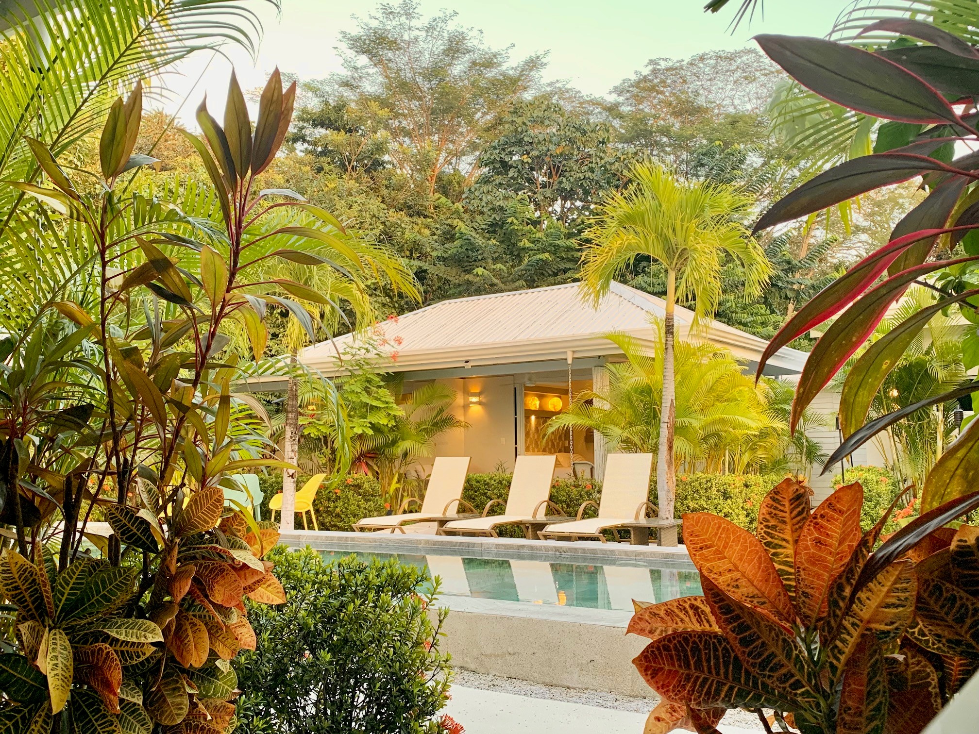 Lush Gardens