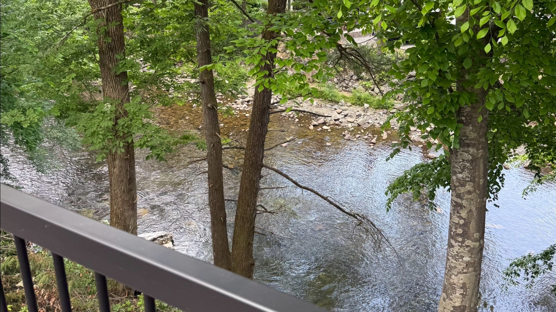 The Riverbend