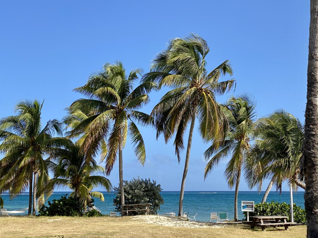 Beach Access - across the street 