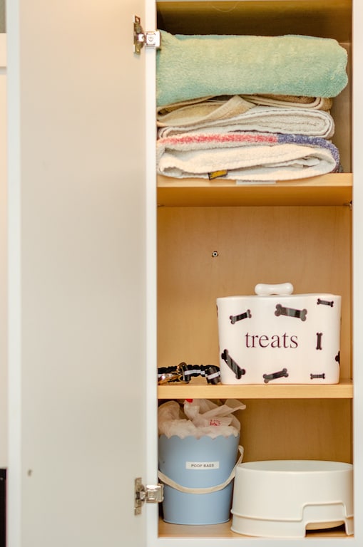Dog ammenities include: leash, dishes, treats, waste bags, beach dog towels.