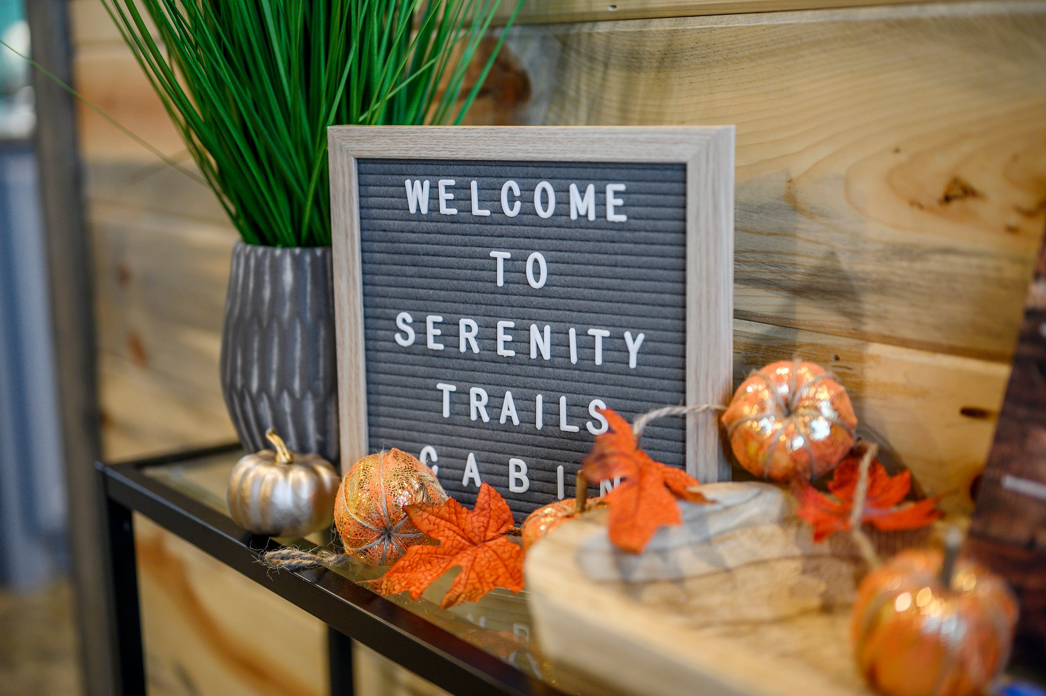 Thoughtful designer touches and a cozy greeting upon your arrival.