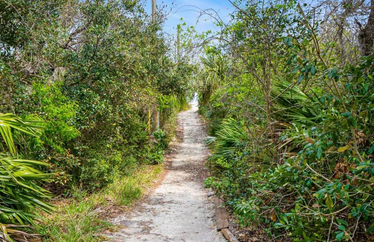 Path to the beach 