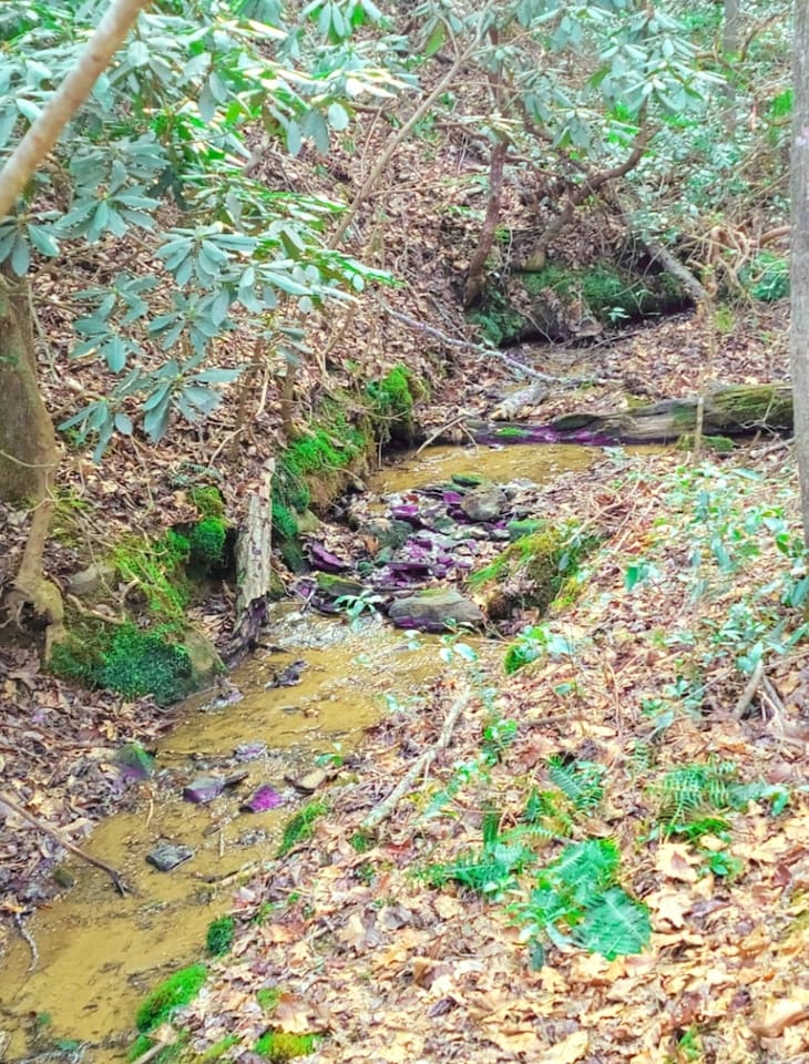 Small stream on property