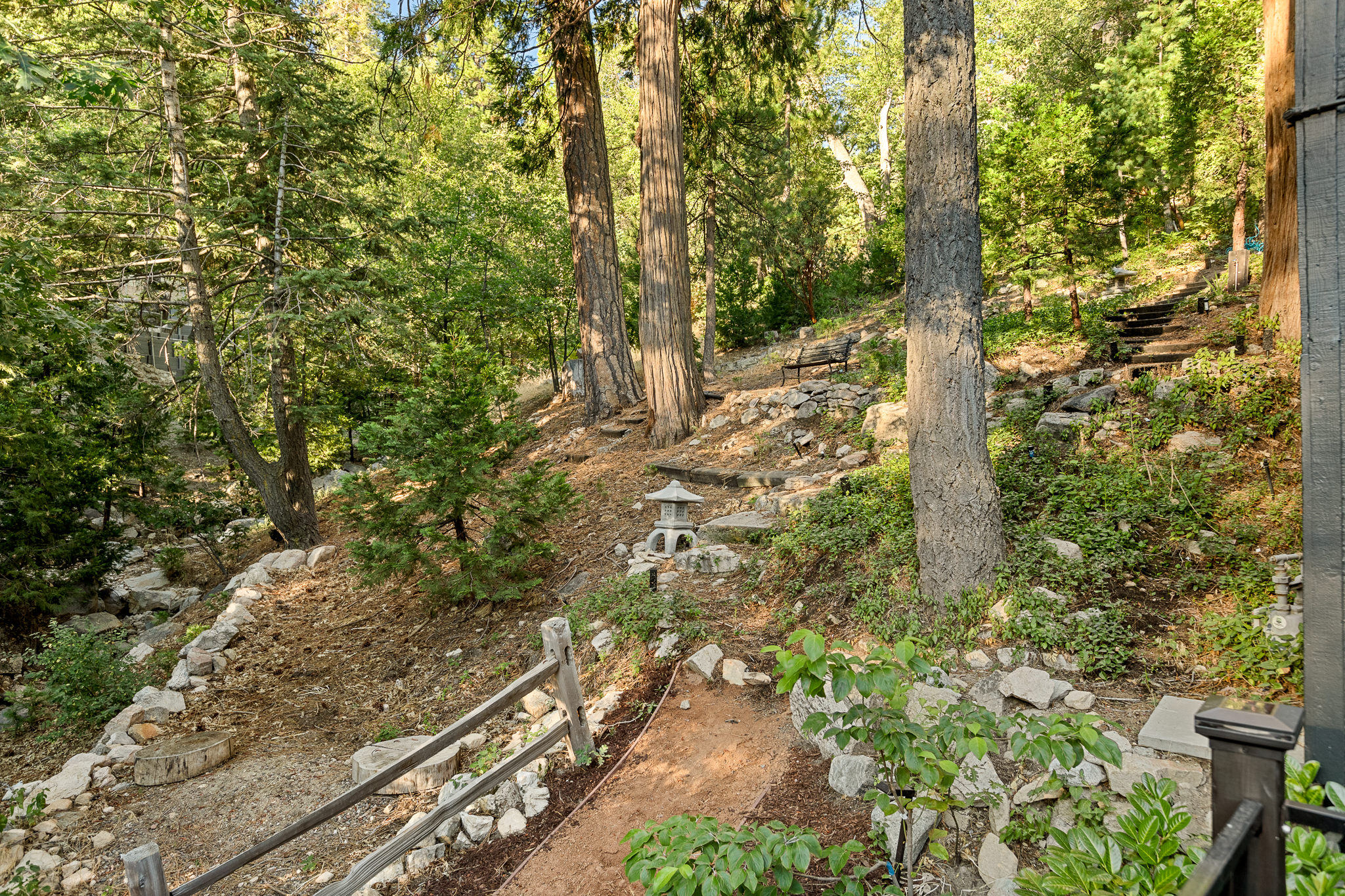 Here's a glimpse of your private yard. Breathe in the crisp mountain air amidst the trees, and if you're lucky to visit after rainfall, you can soak in the soothing sounds of the creek beside the house.