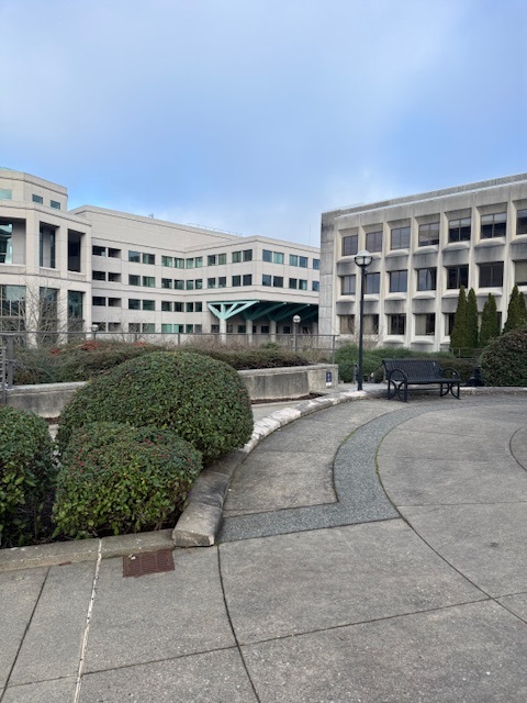 View of walk to Capitol building through park by Natural Resources building