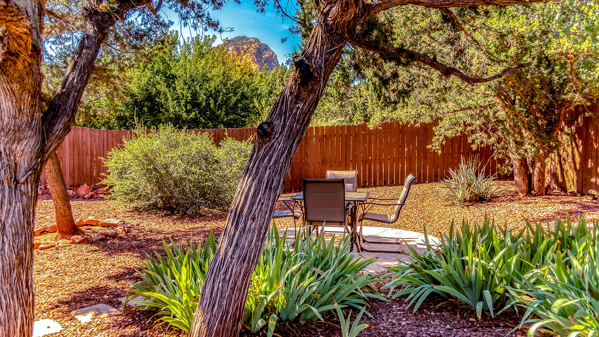 Back yard looking at Thunder Mountain