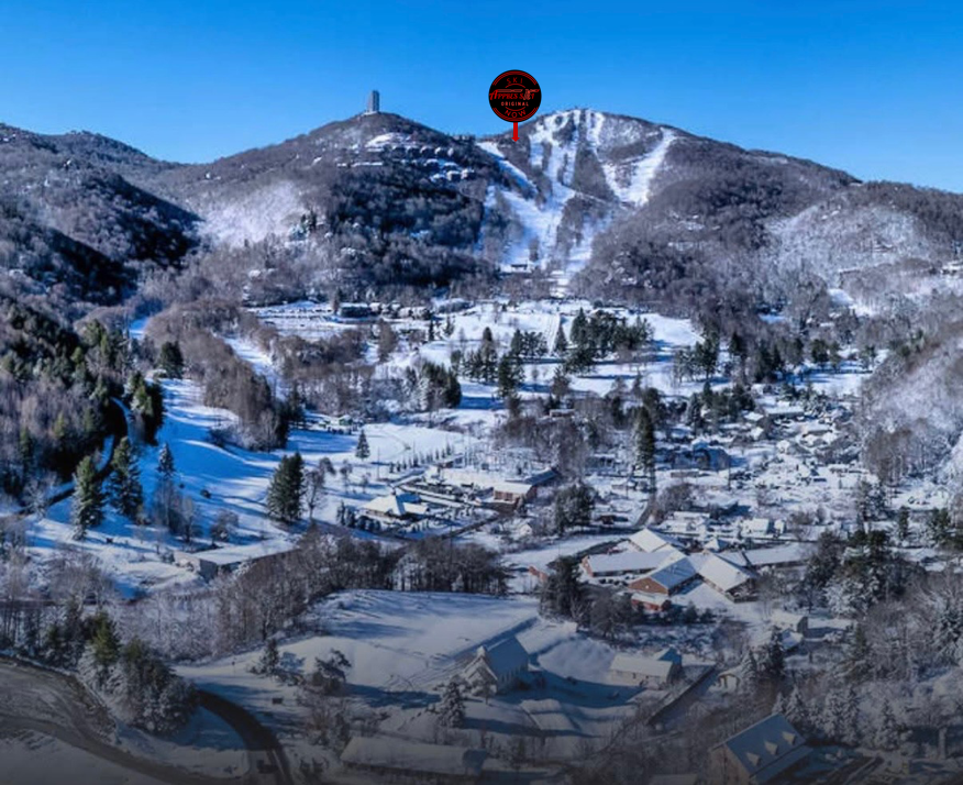 Opening Day Nov 11 25