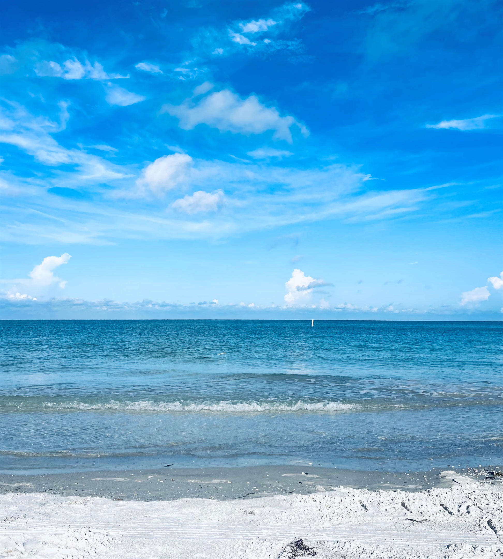 Indian Rocks Beach 1.4miles from the door.