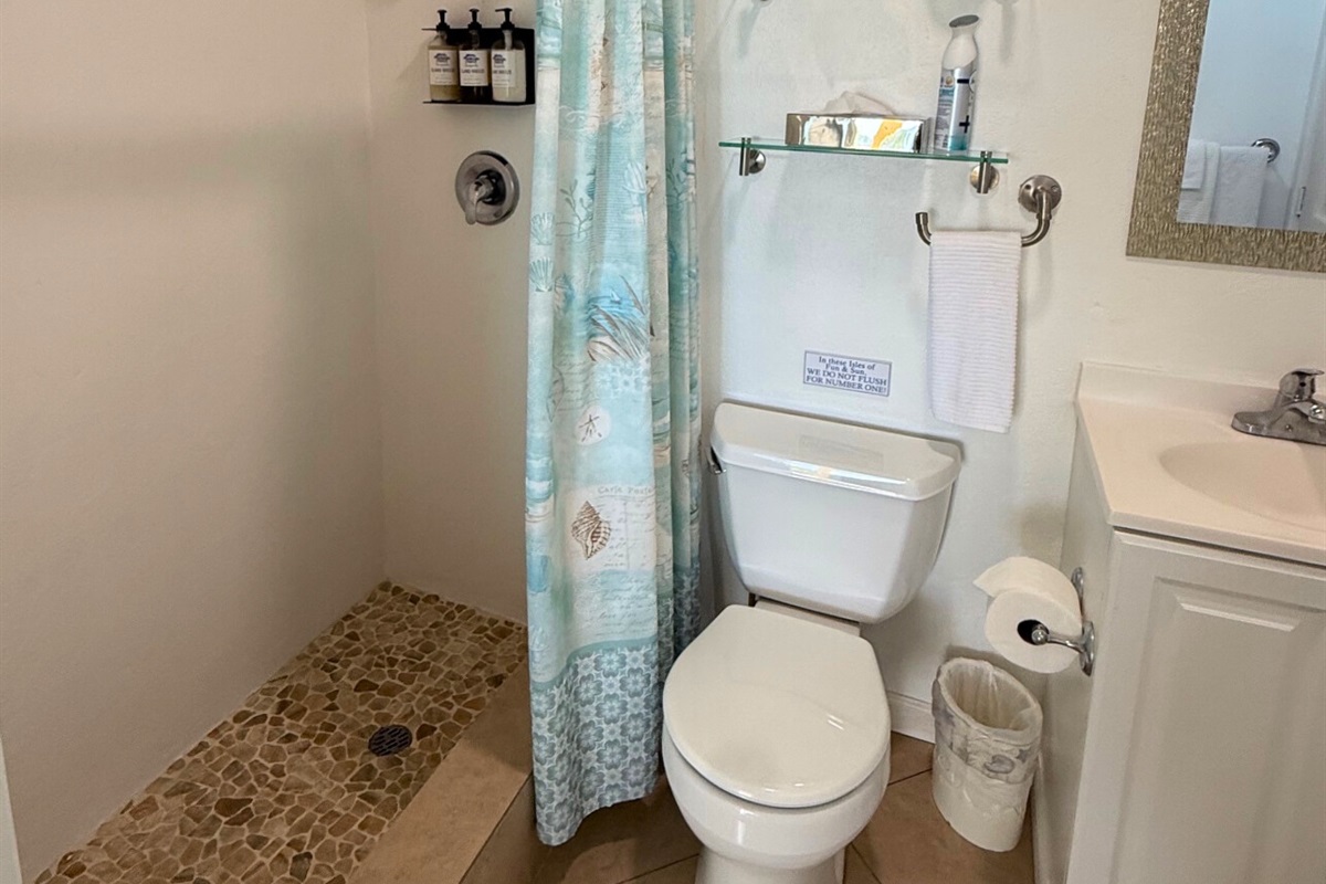 The guest room has an ensuite bathroom with walk in shower.